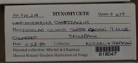 Image Associated With the Occurence